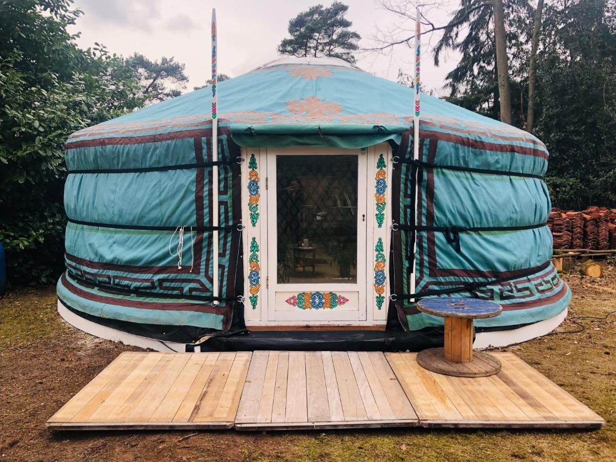 Chalet Tiny House 't Heidehoes In Usselo